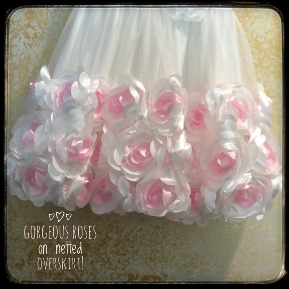 ❤️ 3 for 15❤️ “Nanette Baby” Tulle &Roses Dress! - Picture 3 of 7